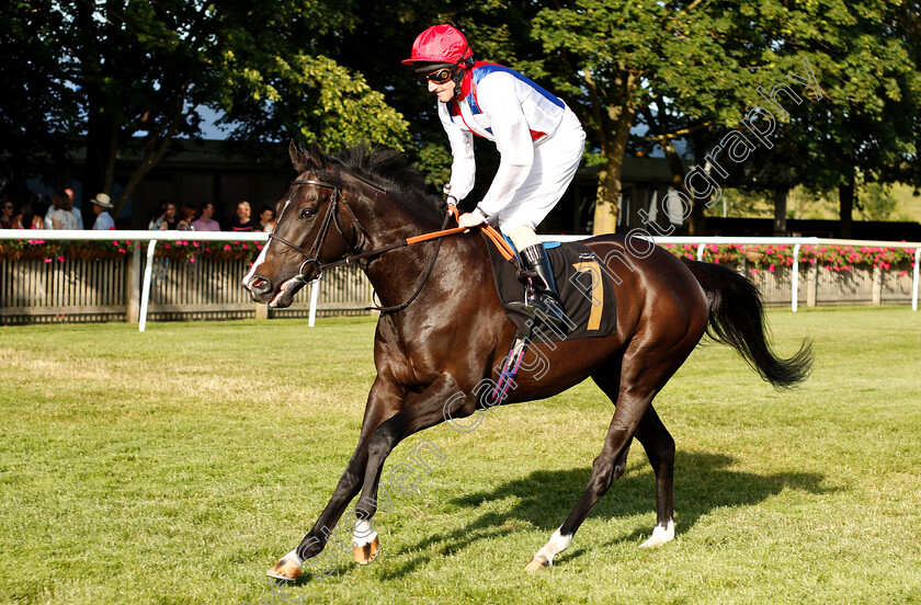 Assimilation-0001 
 ASSIMILATION (Liam Keniry)
Newmarket 28 Jun 2019 - Pic Steven Cargill / Racingfotos.com