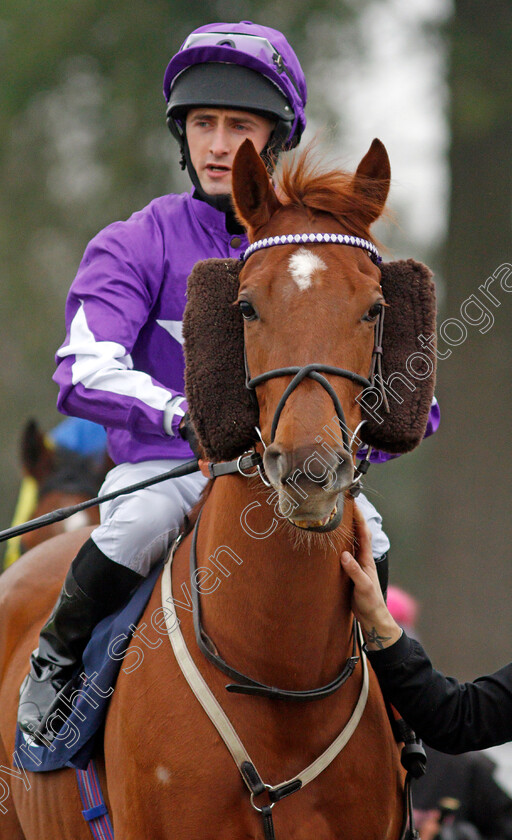 Golden-Whisper 
 GOLDEN WHISPER (Charlie Bennett)
Lingfield 25 Jan 2022 - Pic Steven Cargill / Racingfotos.com