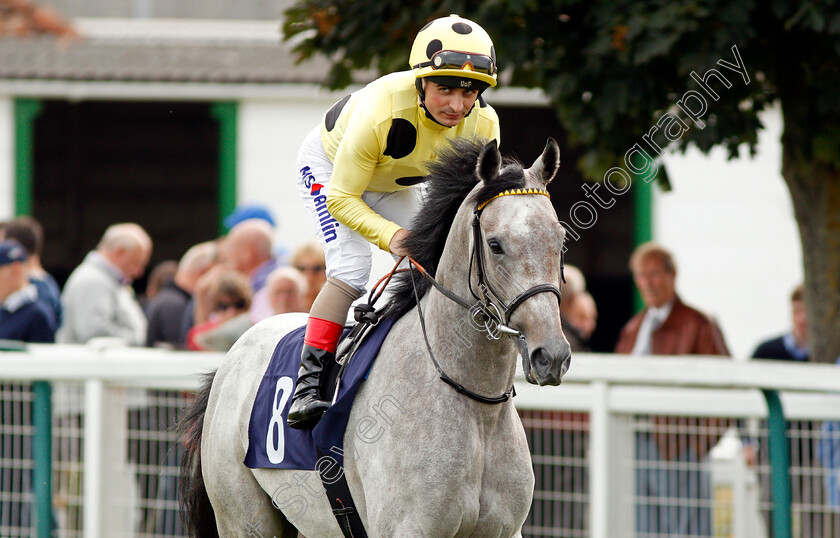 Rich-Identity-0001 
 RICH IDENTITY (Andrea Atzeni) Yarmouth 20 Sep 2017 - Pic Steven Cargill / Racingfotos.com