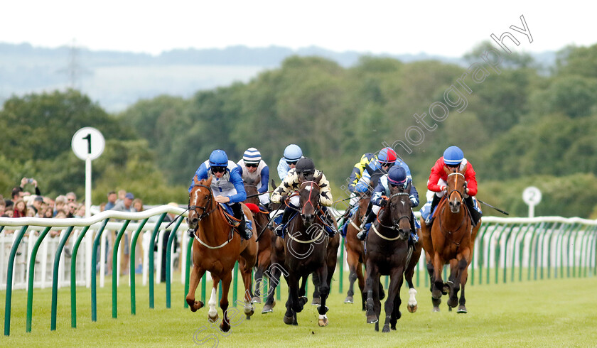 Tres-Chic-0006 
 TRES CHIC (centre, Shariq Mohd) wins The Al Basti Equiworld Dubai Apprentice Handicap
Salisbury 16 Jun 2024 - pic Steven Cargill / Racingfotos.com