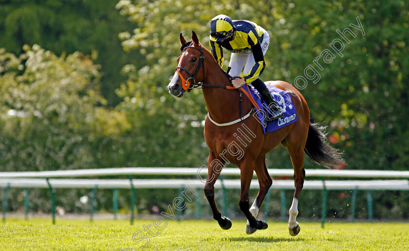 Isabella-Giles-0001 
 ISABELLA GILES (Hector Crouch)
Haydock 22 May 2021 - Pic Steven Cargill / Racingfotos.com