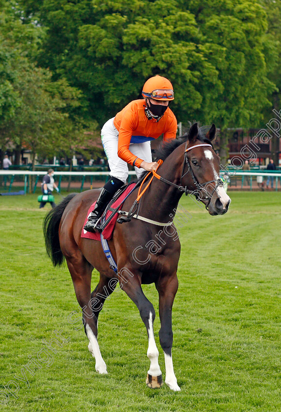 Lordman-0001 
 LORDMAN (Jane Elliott)
Haydock 28 May 2021 - Pic Steven Cargill / Racingfotos.com