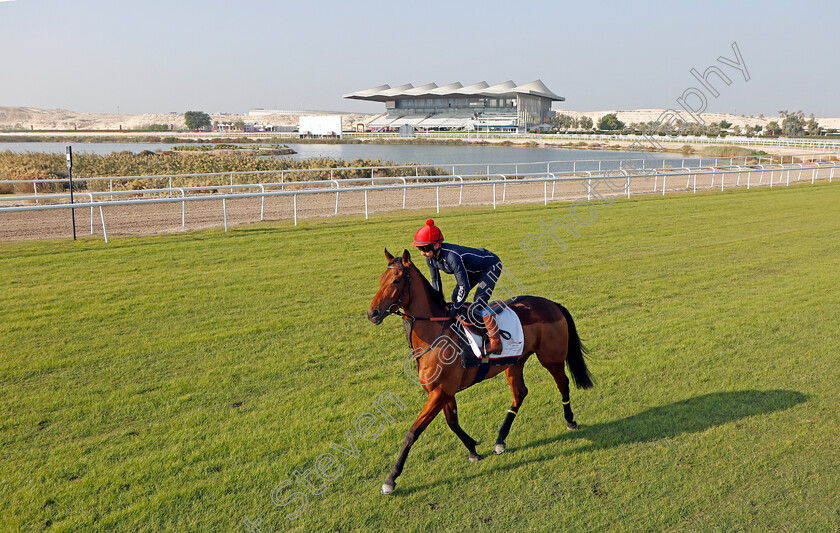 Fev-Rover-0001 
 FEV ROVER (Paddy Mathers) exercising in preparation for Friday's Bahrain International Trophy
Sakhir Racecourse, Bahrain 18 Nov 2021 - Pic Steven Cargill / Racingfotos.co