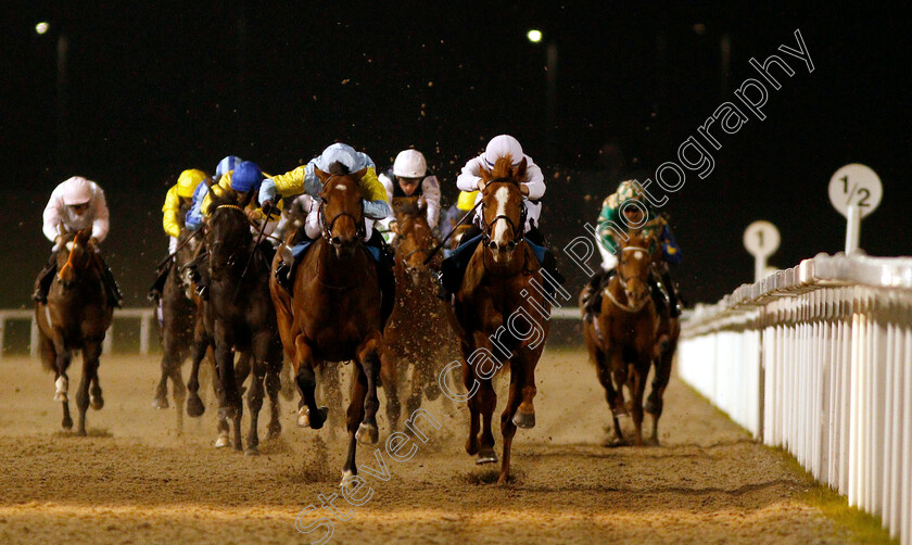 Tauteke-0006 
 TAUTEKE (left, Jim Crowley) beats SO HIGH (right) in The Irish Lotto At totesport.com British EBF Novice Stakes
Chelmsford 29 Nov 2018 - Pic Steven Cargill / Racingfotos.com