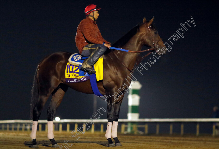 Flightline-0004 
 FLIGHTLINE training for the Breeders' Cup Classic
Keeneland USA 2 Nov 2022 - Pic Steven Cargill / Racingfotos.com