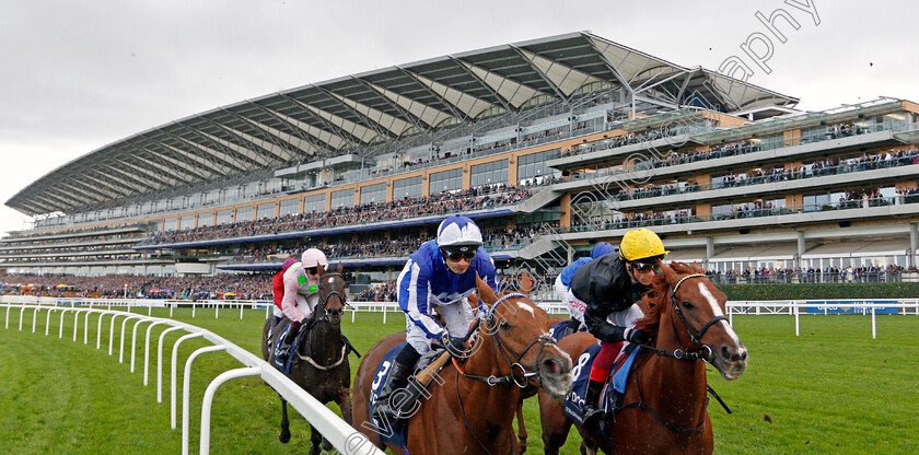 Stradivarius-and-Cleonte-0001 
 STRADIVARIUS (right, Frankie Dettori) and CLEONTE (left, Silvestre De Sousa)
Ascot 19 Oct 2019 - Pic Steven Cargill / Racingfotos.com