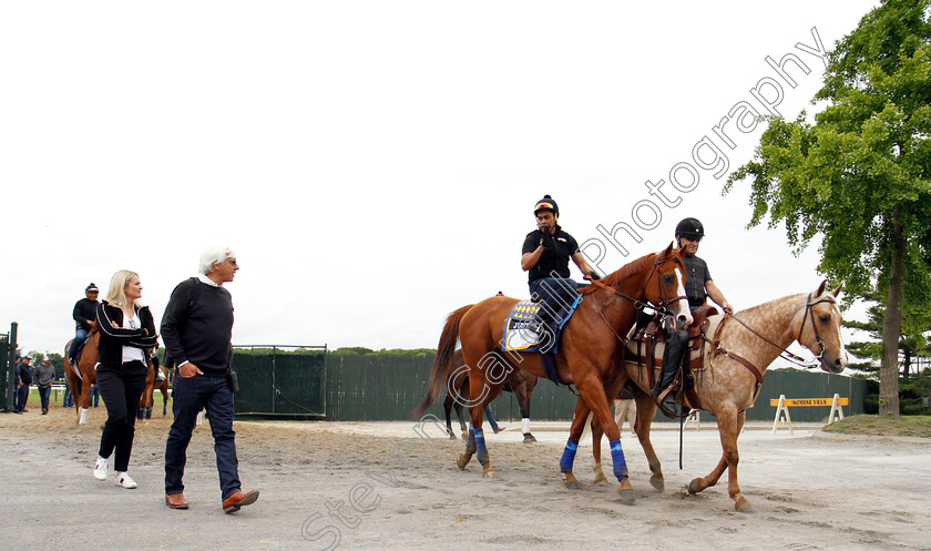 Justify-0015 
 JUSTIFY (Martine Garcia) with Bob Baffert after exercising in preparation for The Belmont Stakes 
Belmont Park USA 7 Jun 2018 - Pic Steven Cargill / Racingfotos.com