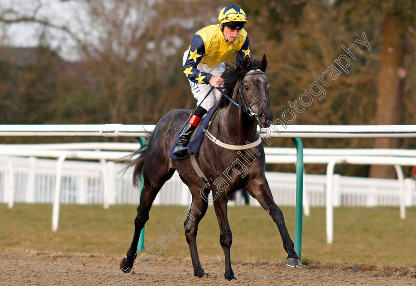 Technological-0002 
 TECHNOLOGICAL (Adam Kirby) Lingfield 23 Feb 2018 - Pic Steven Cargill / Racingfotos.com