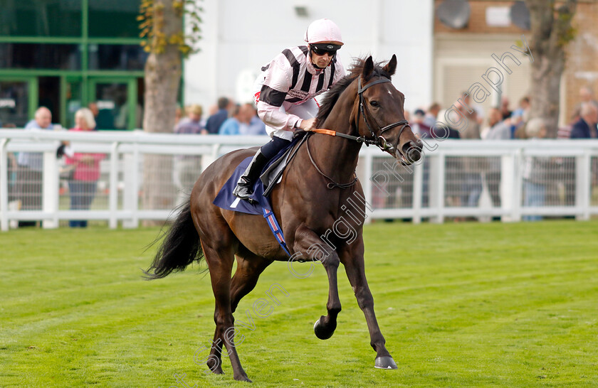 Raajil-0001 
 RAAJIL (Jack Mitchell)
Yarmouth 13 Sep 2022 - Pic Steven Cargill / Racingfotos.com