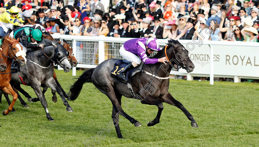 Pilgrim-0002 
 PILGRIM (Joe Fanning) wins The Palace of Holyroodhouse Stakes
Royal Ascot 21 Jun 2024 - Pic Steven Cargill / Racingfotos.com