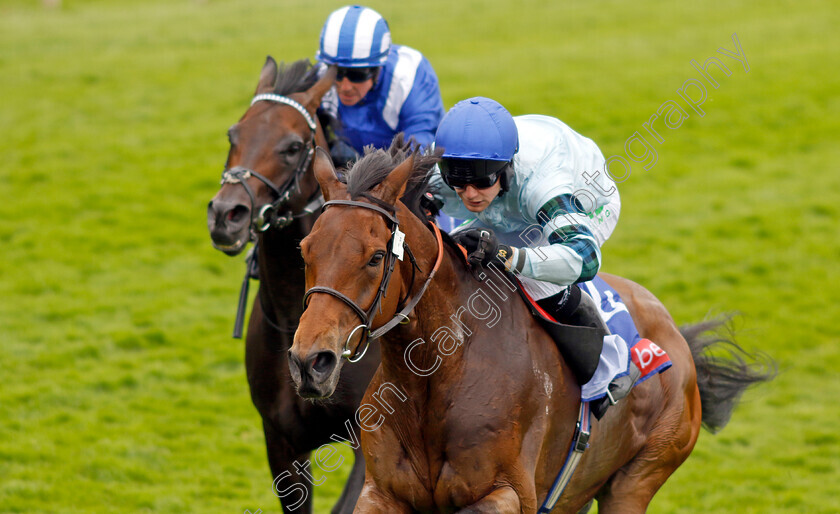 Quickthorn-0002 
 QUICKTHORN (Jason Hart) wins The Sky Bet Grand Cup
York 17 Jun 2023 - Pic Steven Cargill / Racingfotos.com