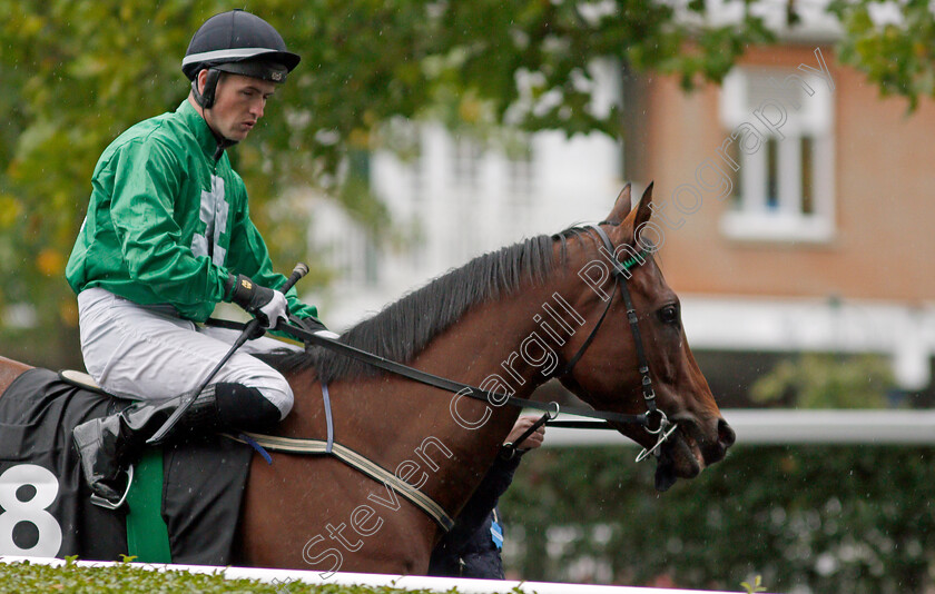 Strong-Johnson 
 STRONG JOHNSON (Dylan Hogan)
Ascot 2 Oct 2021 - Pic Steven Cargill / Racingfotos.com