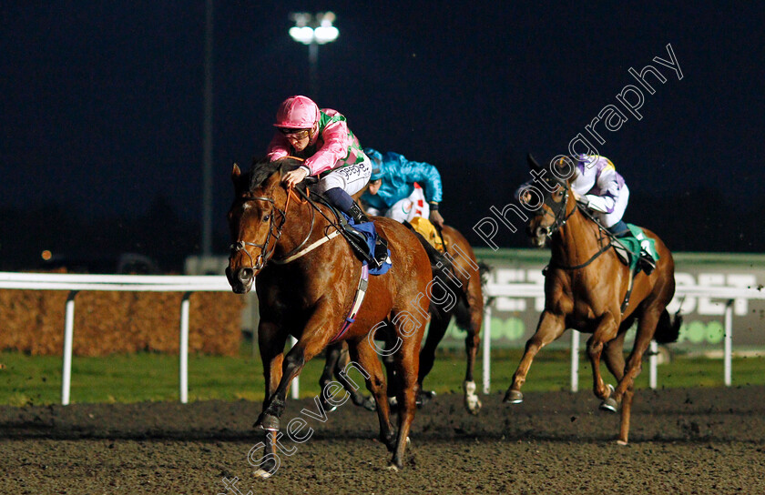 Adelaise-0002 
 ADELAISE (David Probert) wins The Unibet Supporting Safe Gambling Fillies Novice Stakes
Kempton 2 Mar 2022 - Pic Steven Cargill / Racingfotos.com