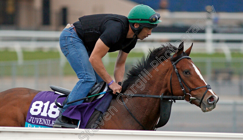 Rajasinghe-0002 
 RAJASINGHE training for The Breeders' Cup Juvenile Turf at Del Mar USA, 1 Nov 2017 - Pic Steven Cargill / Racingfotos.com