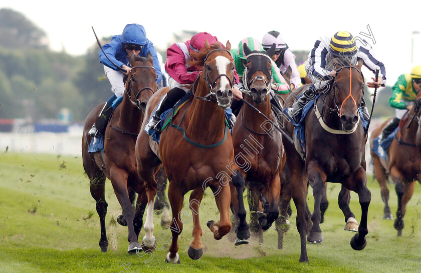 El-Astronaute-0003 
 EL ASTRONAUTE (left, Rossa Ryan) beats FINAL VENTURE (right) in The Sky Bet & Symphony Group Handicap
York 22 Aug 2018 - Pic Steven Cargill / Racingfotos.com