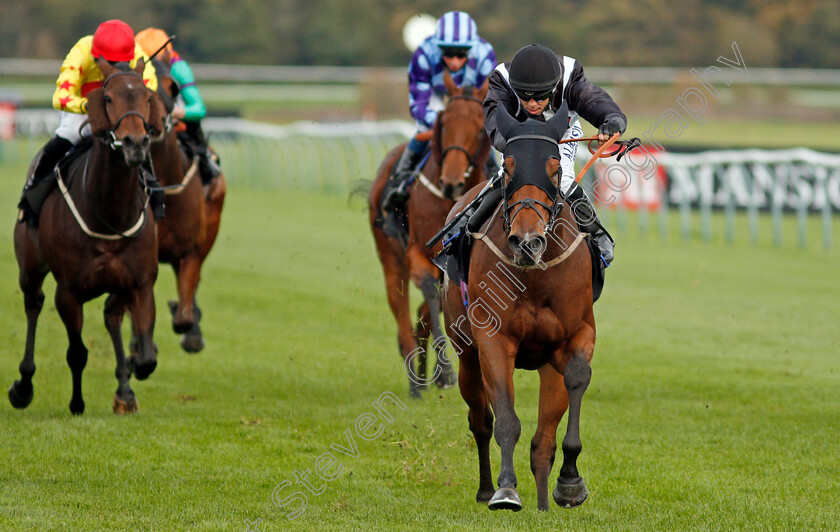 Saras-Hope-0004 
 SARAS HOPE (Ben Curtis) wins The Bet 10 Get 20 With Mansionbet Handicap
Nottingham 28 Oct 2020 - Pic Steven Cargill / Racingfotos.com