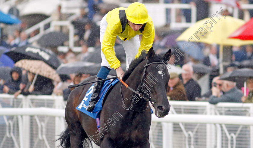 El-Jasor-0002 
 EL JASOR (Callum Shepherd)
Chester 10 May 2023 - pic Steven Cargill / Racingfotos.com