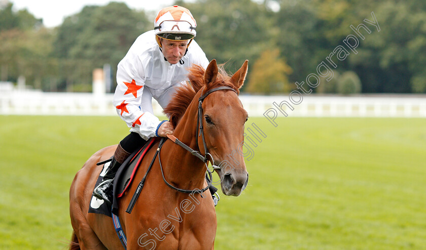 Bharani-Star-0001 
 BHARANI STAR (John Egan)
Ascot 7 Sep 2019 - Pic Steven Cargill / Racingfotos.com