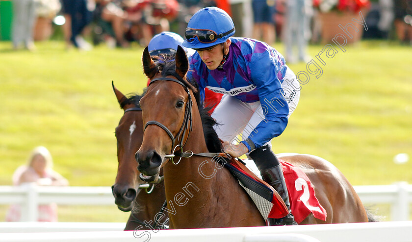 Bramble-Jelly-0001 
 BRAMBLE JELLY (George Downing)
Sandown 2 Sep 2023 - Pic Steven Cargill / Racingfotos.com