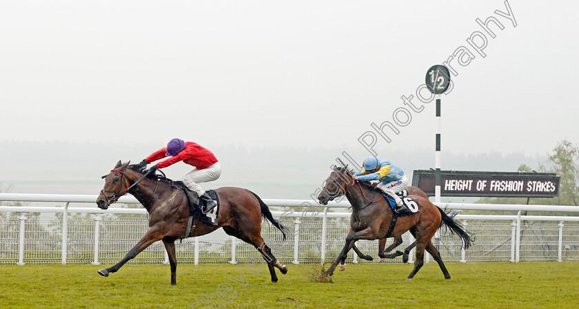 Magnolia-Springs-0001 
 MAGNOLIA SPRINGS (Charles Bishop) beats SHAHEREZADA (right) in The netbet.co.uk Height Of Fashion Stakes Goodwood 24 May 2018 - Pic Steven Cargill / Racingfotos.com