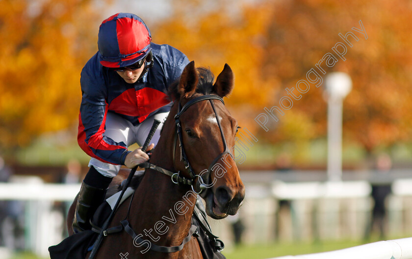 Misty-Sky-0009 
 MISTY SKY (Aidan Keeley) winner of The Prestige Vehicles Fillies Restricted Novice Stakes
Newmarket 23 Oct 2024 - Pic Steven Cargill / Racingfotos.com