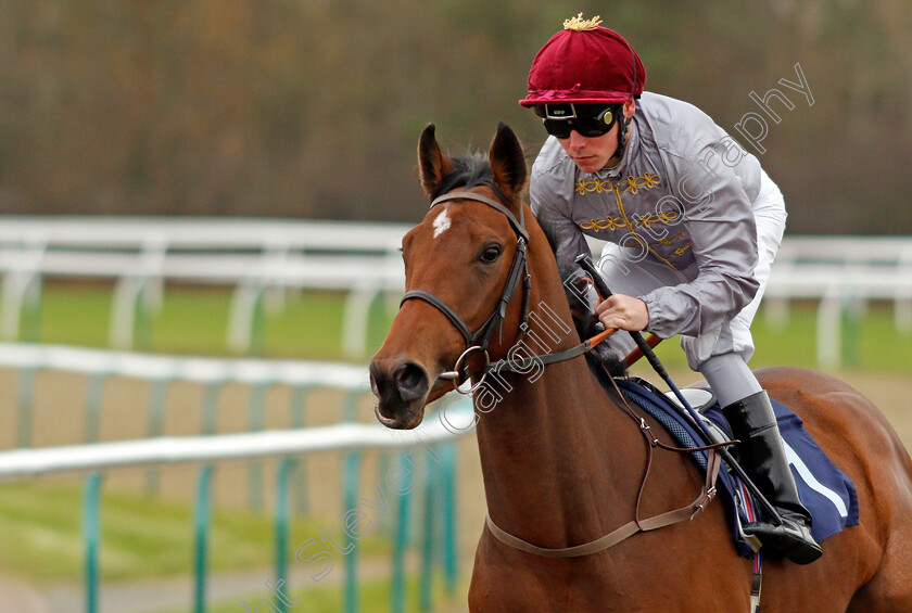 Kassar-0001 
 KASSAR (Kieran Shoemark) Lingfield 21 Nov 2017 - Pic Steven Cargill / Racingfotos.com