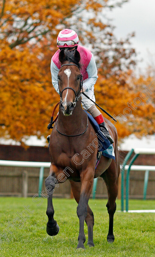 Olympic-Theatre-0001 
 OLYMPIC THEATRE (Andrea Atzeni)
Newmarket 21 Oct 2020 - Pic Steven Cargill / Racingfotos.com