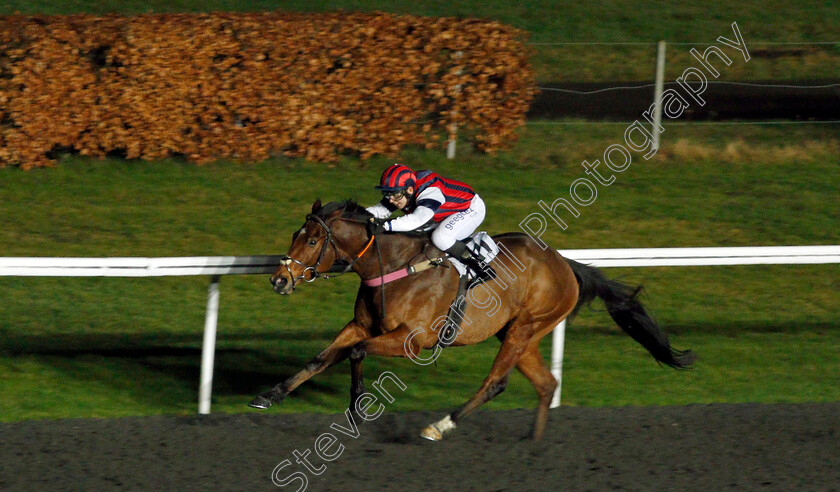 Mr-Zee-0001 
 MR ZEE (Marco Ghiani) wins The Follow @racingtv On Twitter Classified Stakes
Kempton 13 Jan 2021 - Pic Steven Cargill / Racingfotos.com