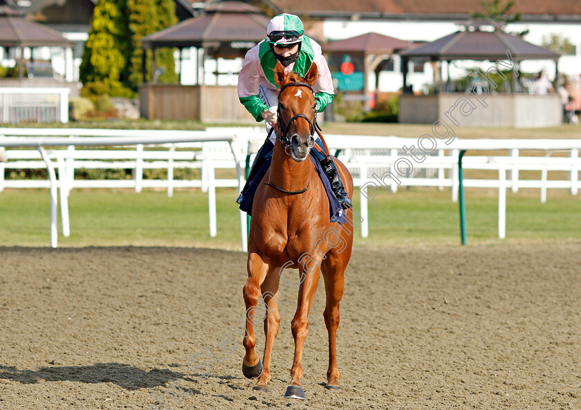 Daisy-Duke-0001 
 DAISY DUKE (Callum Shepherd)
Lingfield 5 Aug 2020 - Pic Steven Cargill / Racingfotos.com