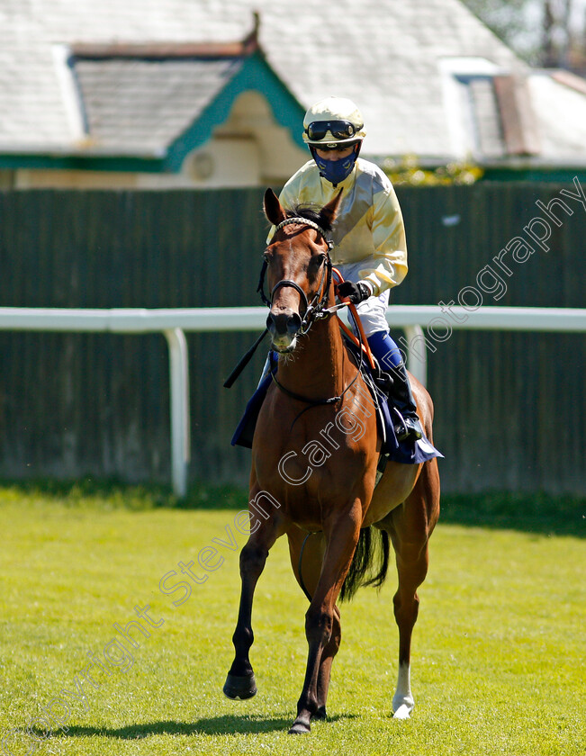 Romantic-Time-0001 
 ROMANTIC TIME (Marco Ghiani)
Yarmouth 9 Jun 2021 - Pic Steven Cargill / Racingfotos.com