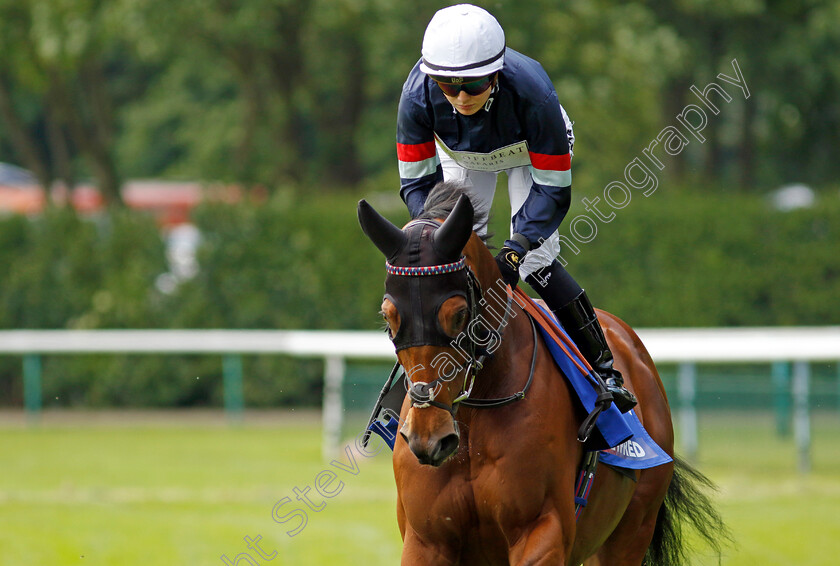 Equality-0001 
 EQUALITY (Saffie Osborne)
Haydock 25 May 2024 - Pic Steven cargill / Racingfotos.com