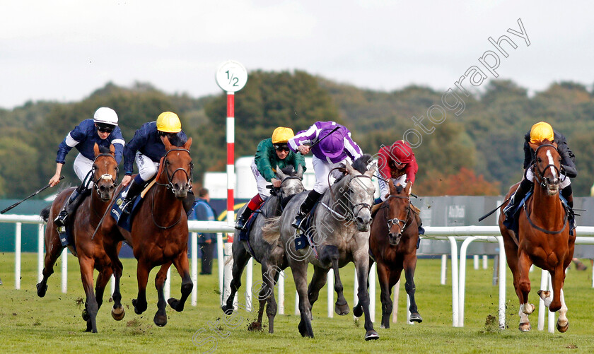 Capri-0004 
 CAPRI (centre, Ryan Moore) beats CRYSTAL OCEAN (left) and STRADIVARIUS (right) in The William Hill St Leger Doncaster 16 Sep 2017 - Pic Steven Cargill / Racingfotos.com