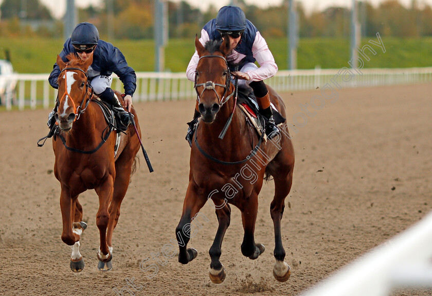 Montague-0006 
 MONTAGUE (right, Dougie Costello) beats FUSION CENTRAL (left) in The Bet toteplacepot At betfred.com Claiming Stakes Chelmsford 12 Oct 2017 - Pic Steven Cargill / Racingfotos.com