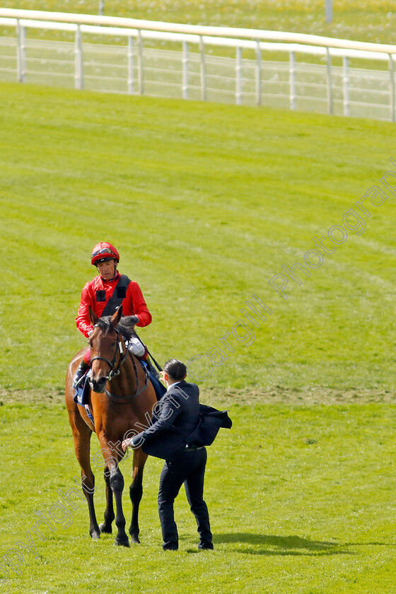 Emily-Upjohn-0009 
 EMILY UPJOHN (Frankie Dettori) after The Tattersalls Musidora Stakes
York 11 May 2022 - Pic Steven Cargill / Racingfotos.com