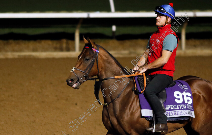 Shareholder-0003 
 SHAREHOLDER training for the Breeders' Cup Juvenile Turf Sprint
Del Mar USA 30 Oct 2024 - Pic Steven Cargill / Racingfotos.com