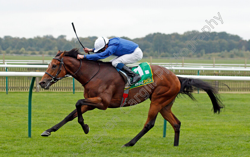 Siskany-0005 
 SISKANY (William Buick) wins The bet365 Old Rowley Cup Handicap
Newmarket 8 Oct 2021 - Pic Steven Cargill / Racingfotos.com