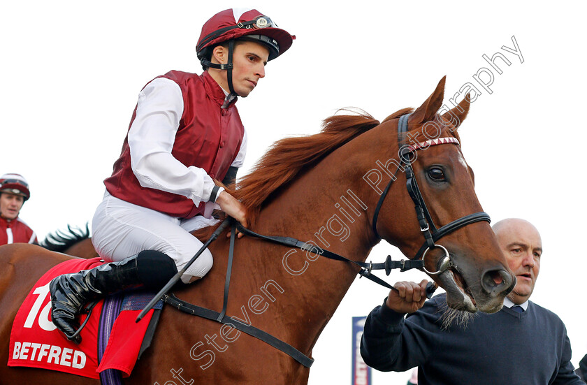 Royal-Line-0003 
 ROYAL LINE (William Buick) Doncaster 11 Nov 2017 - Pic Steven Cargill / Racingfotos.com