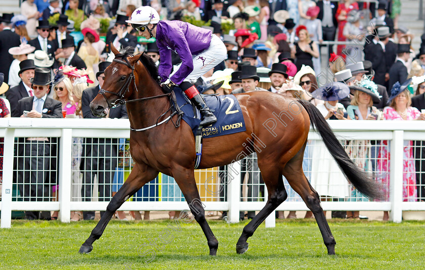 Arizona-Blaze-0001 
 ARIZONA BLAZE (David Egan)
Royal Ascot 20 Jun 2024 - Pic Steven Cargill / Racingfotos.com