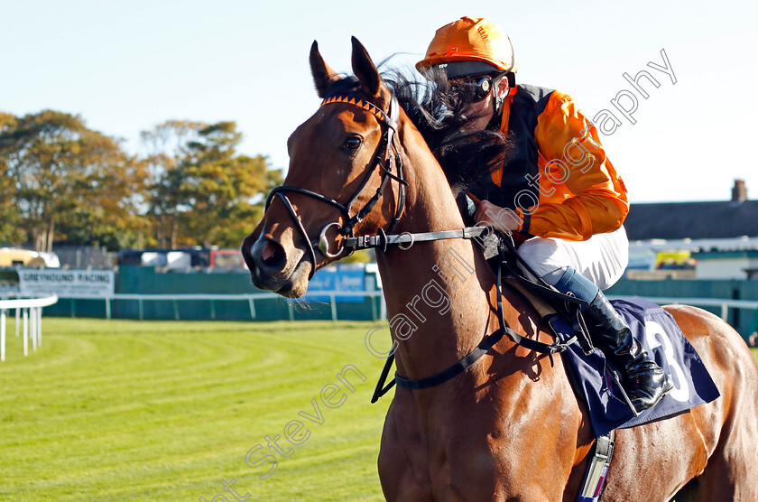 Casamigos-0001 
 CASAMIGOS (William Buick)
Yarmouth 18 Oct 2022 - Pic Steven Cargill / Racingfotos.com