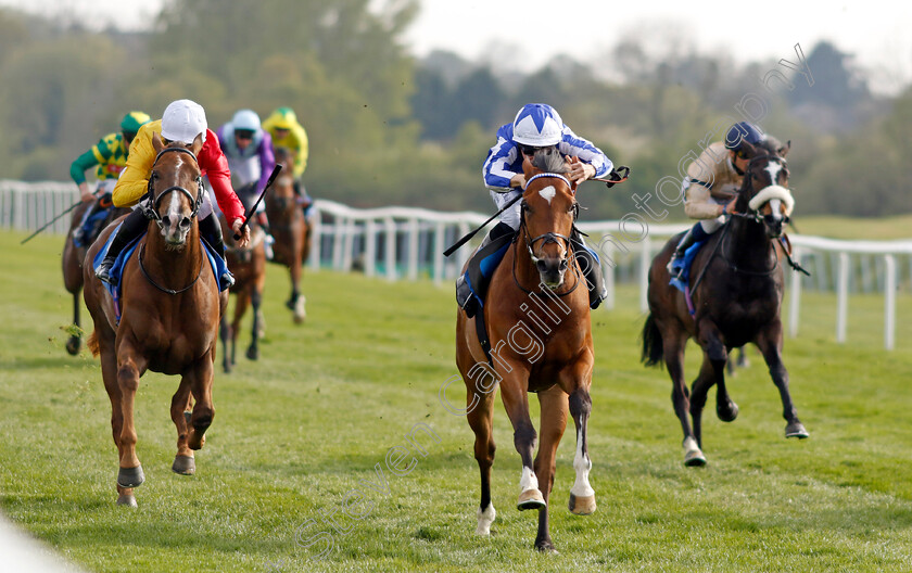 Kitsune-Power-0006 
 KITSUNE POWER (centre, Ray Dawson) beats MANHATTANVILLE (left) in The Caffrey's Irish Ale Handicap
Leicester 23 Apr 2022 - Pic Steven Cargill / Racingfotos.com