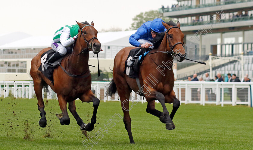 Diamond-Rain-0005 
 DIAMOND RAIN (William Buick) beats SHAHA (left) in The Darley British EBF Fillies Novice Stakes
Ascot 1 May 2024 - Pic Steven Cargill / Racingfotos.com