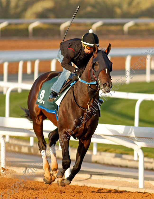 Midnight-Bourbon-0001 
 MIDNIGHT BOURBON training for The Saudi Cup
King Abdulaziz Racetrack, Riyadh, Saudi Arabia 22 Feb 2022 - Pic Steven Cargill / Racingfotos.com