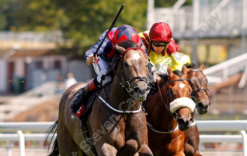 Steel-Bull-0004 
 STEEL BULL (left, Colin Keane) beats BEN MACDUI (right) in The Markel Insurance Molecomb Stakes
Goodwood 29 Jul 2020 - Pic Steven Cargill / Racingfotos.com