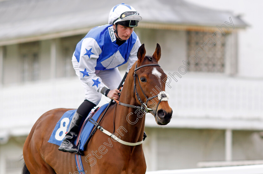 State-Legend-0001 
 STATE LEGEND (Ben Sanderson)
Epsom 25 Apr 2023 - Pic Steven Cargill / Racingfotos.com