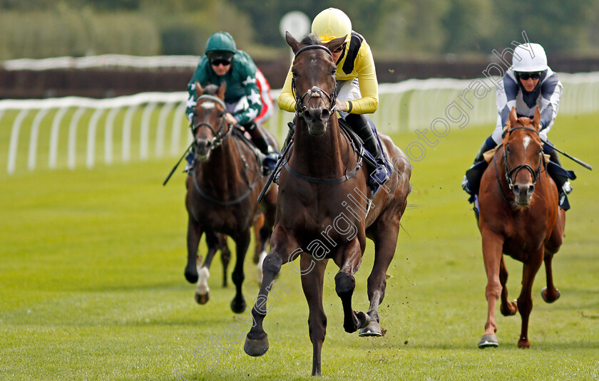 Myseven-0006 
 MYSEVEN (Pat Cosgrave) wins The Betway Novice Stakes
Lingfield 2 Sep 2020 - Pic Steven Cargill / Racingfotos.com