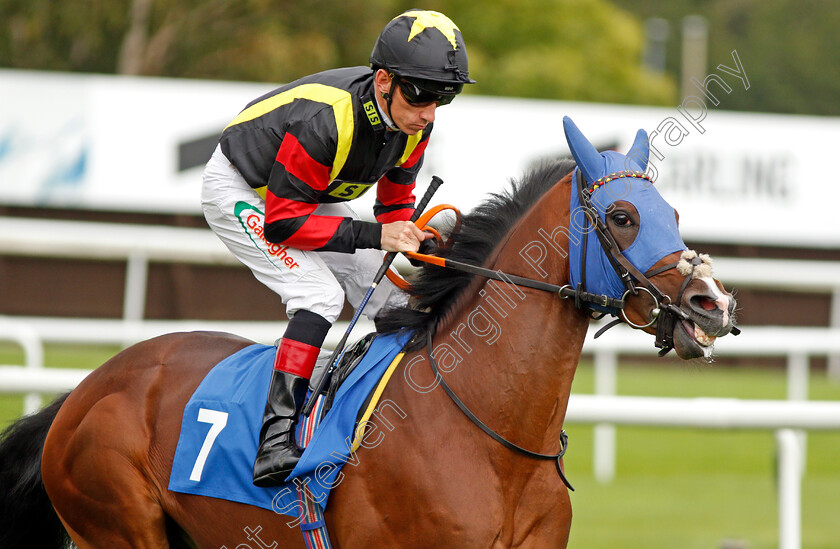 Global-Esteem-0001 
 GLOBAL ESTEEM (Shane Kelly)
Leicester 10 Sep 2019 - Pic Steven Cargill / Racingfotos.com