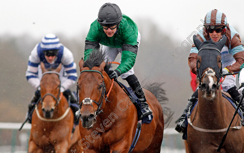 Kachy-0009 
 KACHY (centre, Richard Kingscote) wins The Betway Cleves Stakes Lingfield 3 Feb 2018 - Pic Steven Cargill / Racingfotos.com