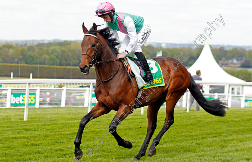 Macduff-0002 
 MACDUFF (Rossa Ryan)
Sandown 26 Apr 2024 - Pic Steven Cargill / Racingfotos.com