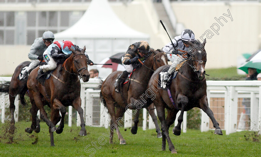 Raising-Sand-0002 
 RAISING SAND (Nicola Currie) wins The Bet With Ascot Challenge Cup Handicap
Ascot 6 Oct 2018 - Pic Steven Cargill / Racingfotos.com