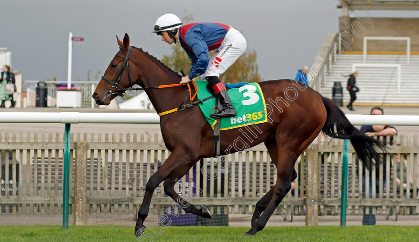 Caught-U-Looking-0001 
 CAUGHT U LOOKING (Colin Keane)
Newmarket 13 Oct 2023 - Pic Steven Cargill / Racingfotos.com